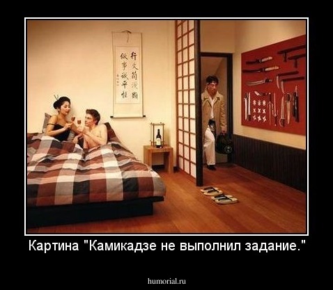 Картина "Камикадзе не выполнил задание."