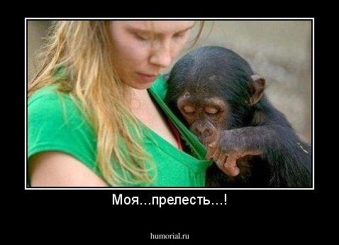 Моя...прелесть...!