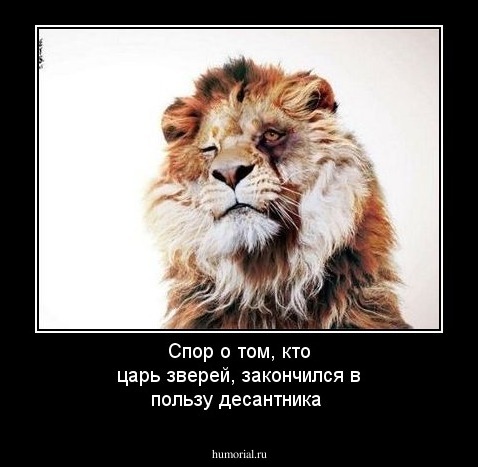 Спор о том, кто царь зверей, закончился в пользу десантника 