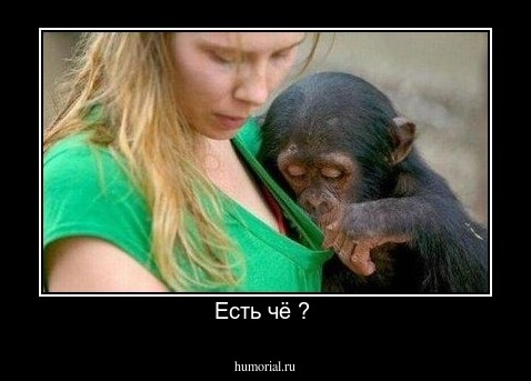 Есть чё ? 