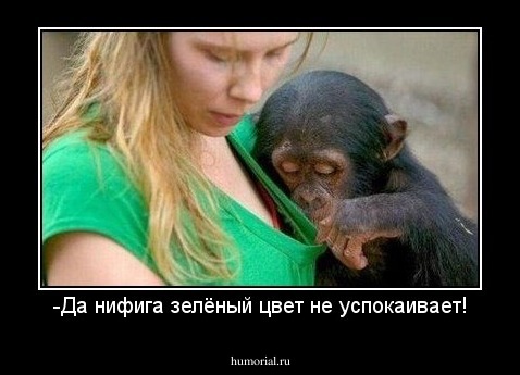 -Да нифига зелёный цвет не успокаивает!