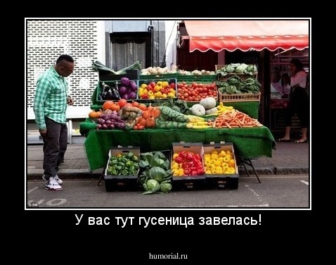 У вас тут гусеница завелась!
