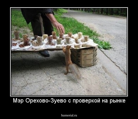 Мэр Орехово-Зуево с проверкой на рынке