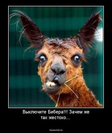Выключите Бибера!!! Зачем же так жестоко... 
