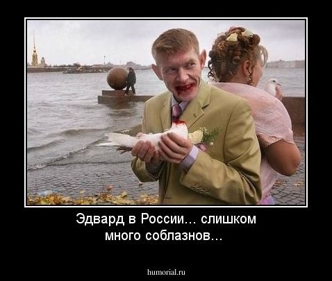 Эдвард в России... слишком много соблазнов...