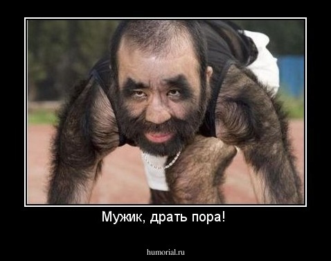 Мужик, драть пора! 