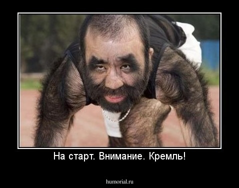 На старт. Внимание. Кремль!