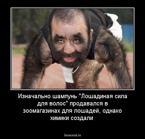 Изначально шампунь "Лошадиная сила для волос" продавался в зоомагазинах для лошадей, однако химики создали 