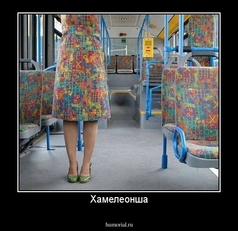 Хамелеонша