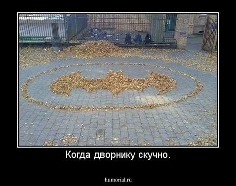 Когда дворнику скучно.