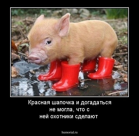Красная шапочка и догадаться не могла, что с ней охотники сделают
