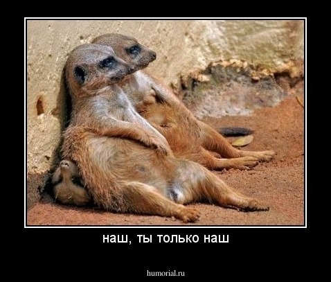 наш, ты только наш