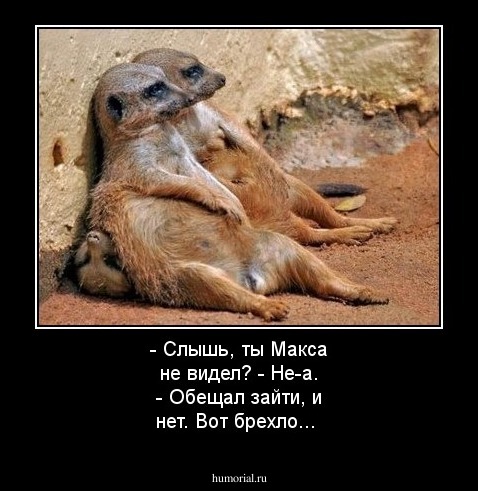 - Слышь, ты Макса не видел?
- Не-а.
- Обещал зайти, и нет. Вот брехло...