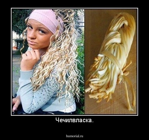 Чечилвласка.
