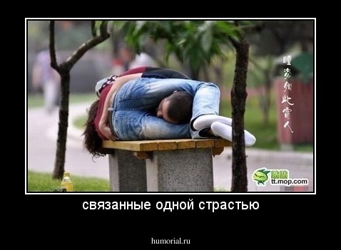 связанные одной страстью