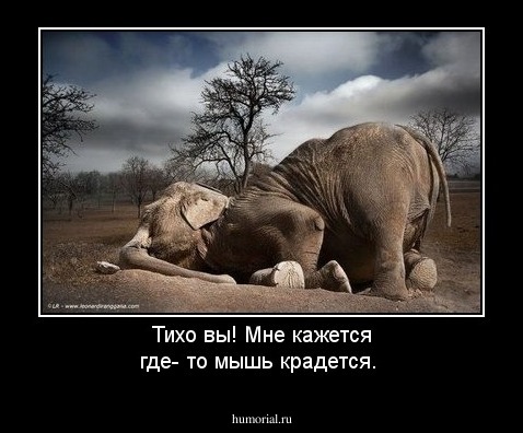 Тихо вы! Мне кажется где- то мышь крадется.