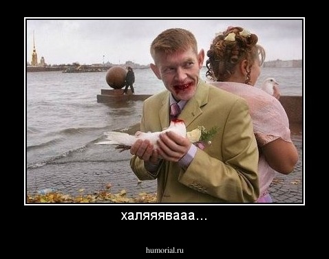 халяяявааа...