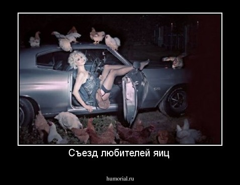 Съезд любителей яиц 