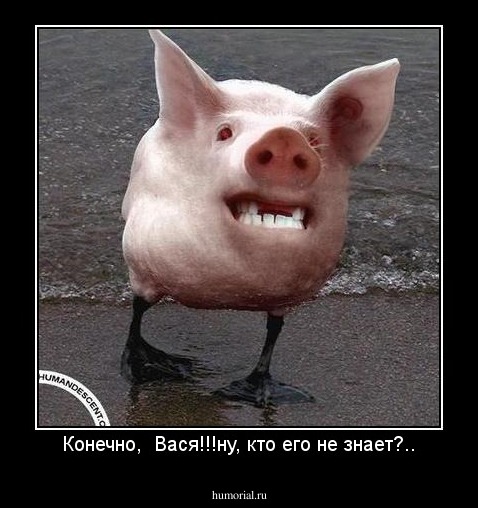Конечно,  Вася!!!ну, кто его не знает?..
