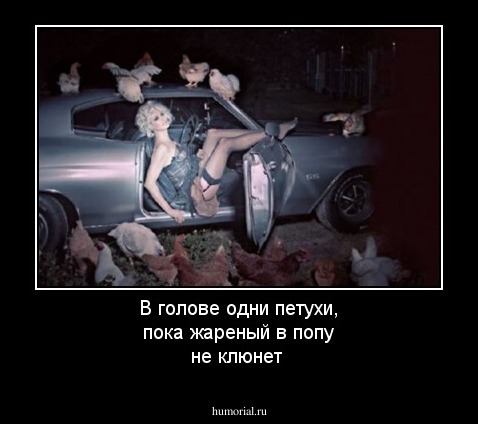 В голове одни петухи, пока жареный в попу не клюнет