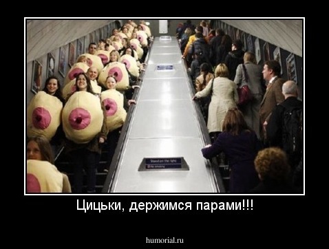 Цицьки, держимся парами!!!