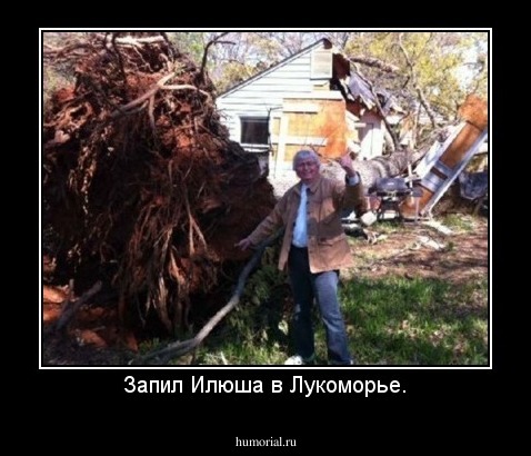 Запил Илюша в Лукоморье.