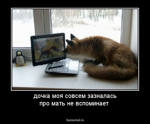 дочка моя совсем зазналась про мать не вспоминает 