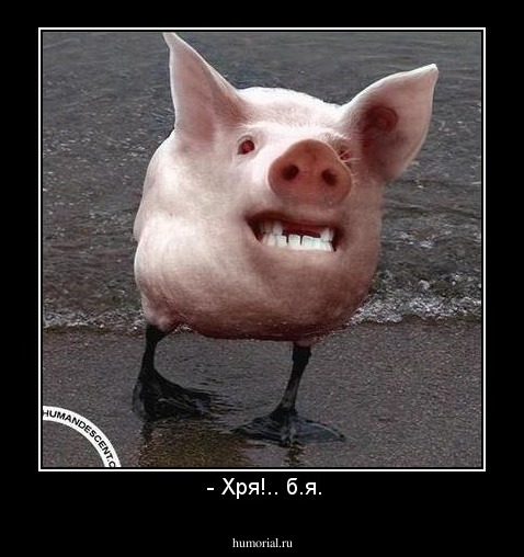  - Хря!.. б.я.