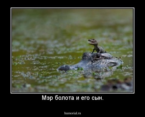Мэр болота и его сын.