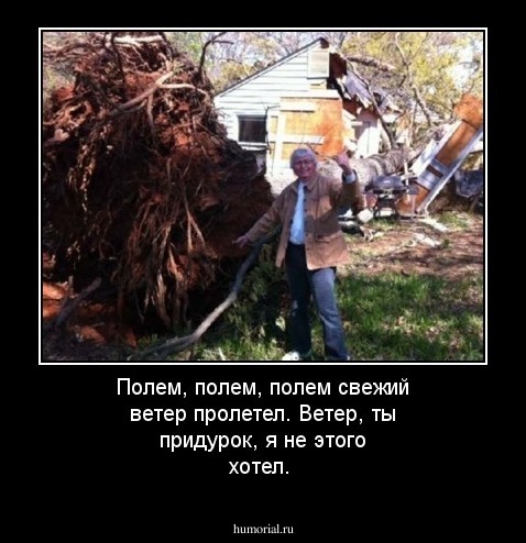  Полем, полем, полем свежий ветер пролетел. Ветер,  ты придурок, я не этого хотел.