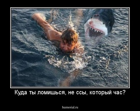 Куда ты ломишься, не ссы, который час?