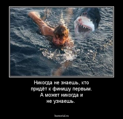 Никогда не знаешь, кто придёт к финишу первым. А может никогда и не узнаешь.