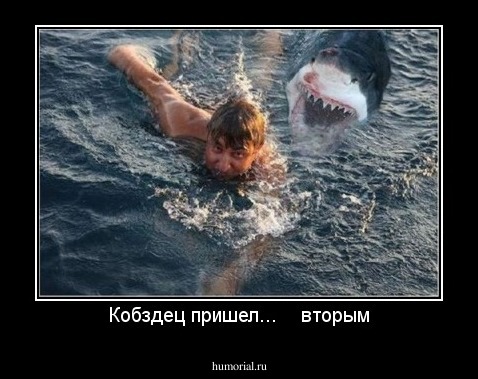 Кобздец пришел...    вторым