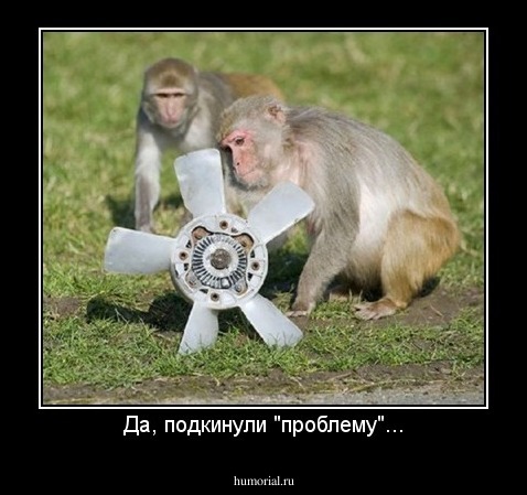 Да, подкинули "проблему"...