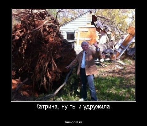 Катрина, ну ты и удружила.
