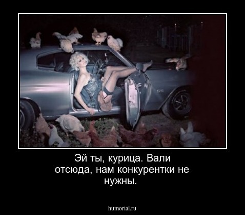 Эй ты, курица. Вали отсюда, нам конкурентки не нужны.