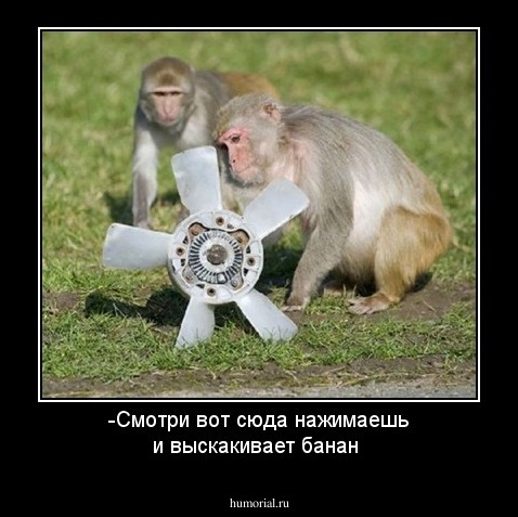 -Смотри вот сюда нажимаешь и выскакивает банан