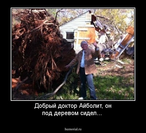 Добрый доктор Айболит, он под деревом сидел...