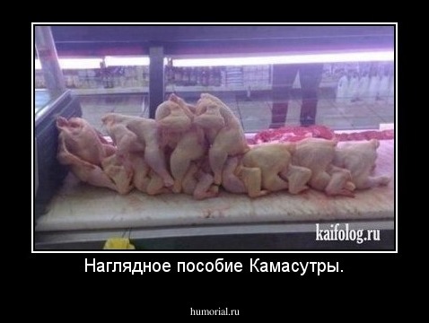 Наглядное пособие Камасутры.