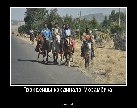 Гвардейцы кардинала Мозамбика.