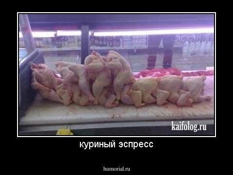 куриный эспресс