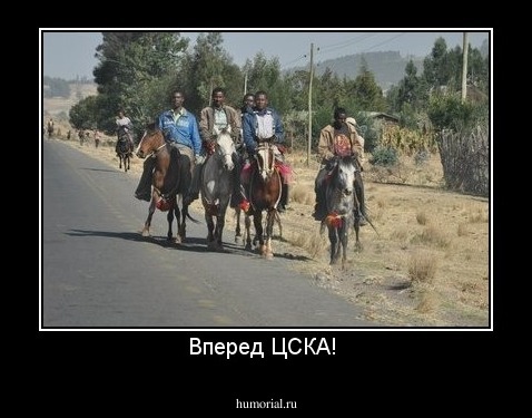 Вперед ЦСКА! 