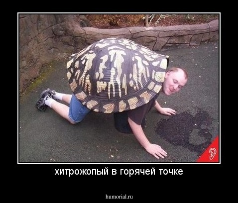 хитрожопый в горячей точке