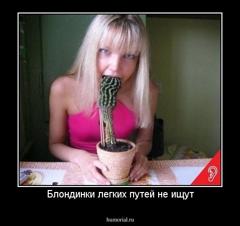 Блондинки легких путей не ищут