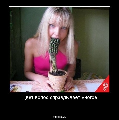 Цвет волос оправдывает многое

