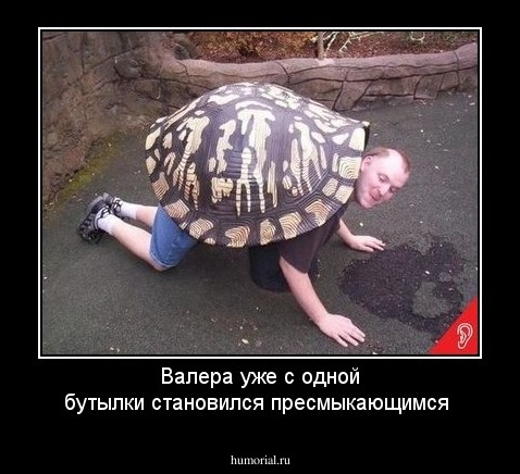 Валера уже с одной бутылки становился пресмыкающимся 