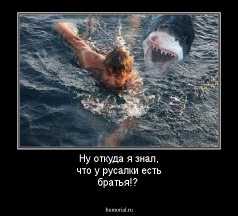 Ну откуда я знал, что у русалки есть братья!?