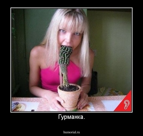 Гурманка.