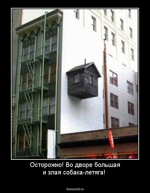 Осторожно! Во дворе большая и злая собака-летяга!