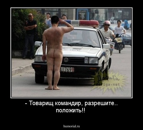 - Товарищ командир, разрешите.. положить!!